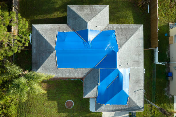 Best Asphalt Shingles Roofing  in Honsville, GA