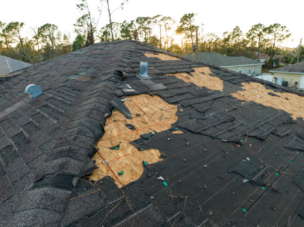 Best Hot Roofs  in Honsville, GA