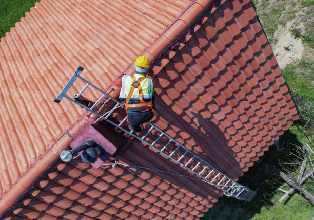 Best Roof Maintenance and Cleaning  in Honsville, GA